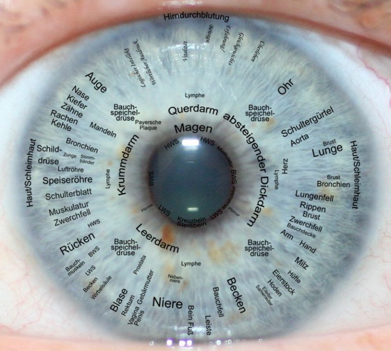 10C4DA14 9965 47C9 A86C D99C63FEB2D4 768x689