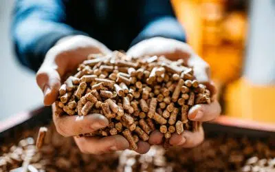 Regionale Firmen Steiermark 12 der Hackschnitzler aus Neumarkt liefert Pellets steiermarkweit