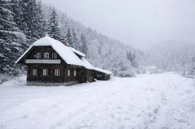 aussenansicht winter 768x511